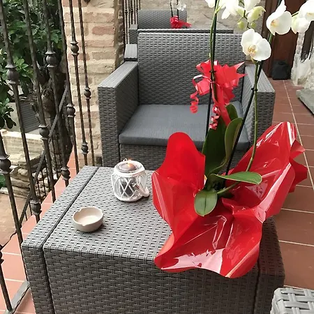San Domenico House 